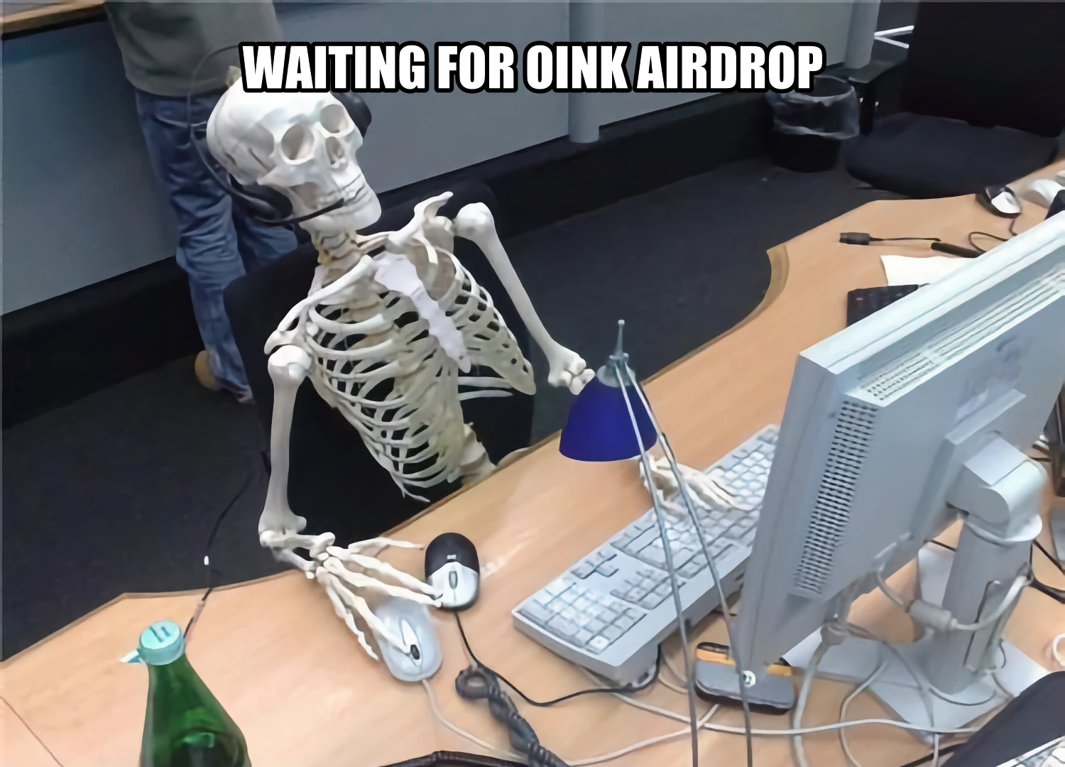 OinkCoin Funny Meme - Cute pink pig crypto meme