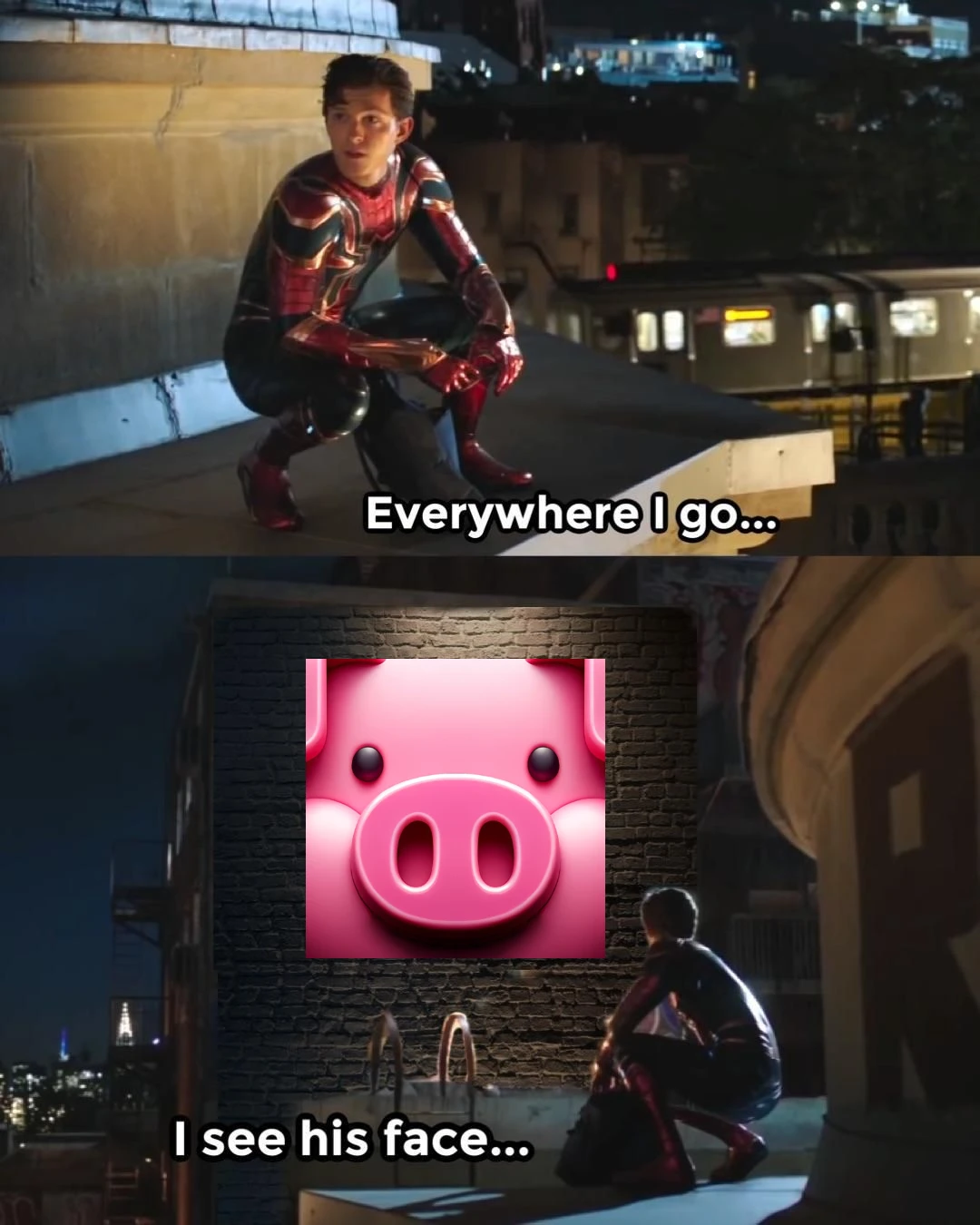 OinkCoin Community Meme - TON Blockchain crypto humor